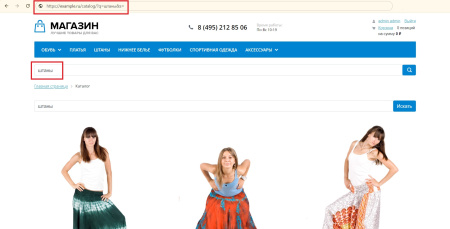 inraise: schema.org/searchaction. seo-микроразметка для поиска по сайту без помощи программиста в bitrix.g-i-t.ru