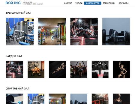 sng: сайт спортивного клуба в bitrix.g-i-t.ru