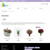 pvgroup.flower - интернет магазин цветов, комнатных растений начиная со старта с конструктором 60152 в bitrix.g-i-t.ru