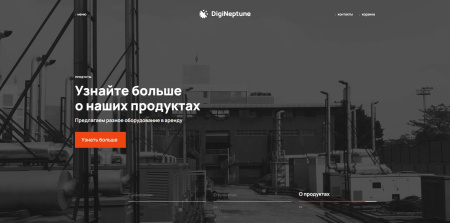 Имиджевый промо-сайт с корзиной товаров DIGINEPTUNE