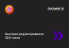 Быстрое редактирование SEO тегов