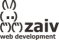 ZAIV web development